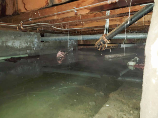 Best Fire Damage Restoration  in Home Garden, CA
