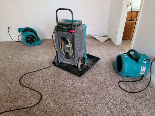 Best Flood restoration services  in Home Garden, CA