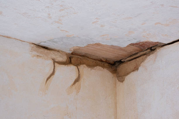 Best Basement water damage restoration  in Home Garden, CA