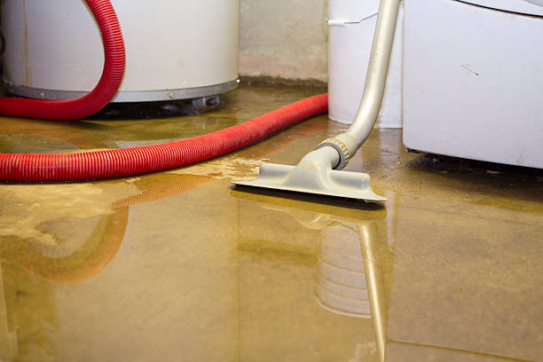 Best Commercial water damage restoration  in Home Garden, CA