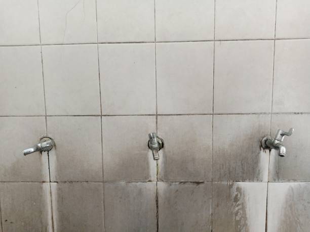 Best Water damage restoration near me  in Home Garden, CA