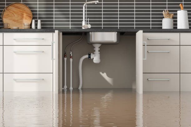 Best Fire Damage Restoration  in Home Garden, CA