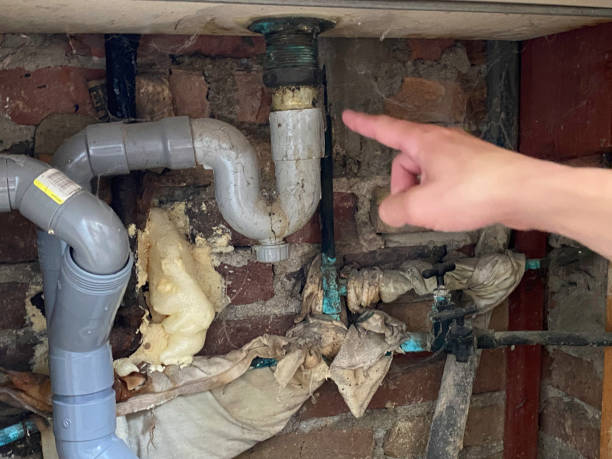Best Carpet water damage restoration  in Home Garden, CA